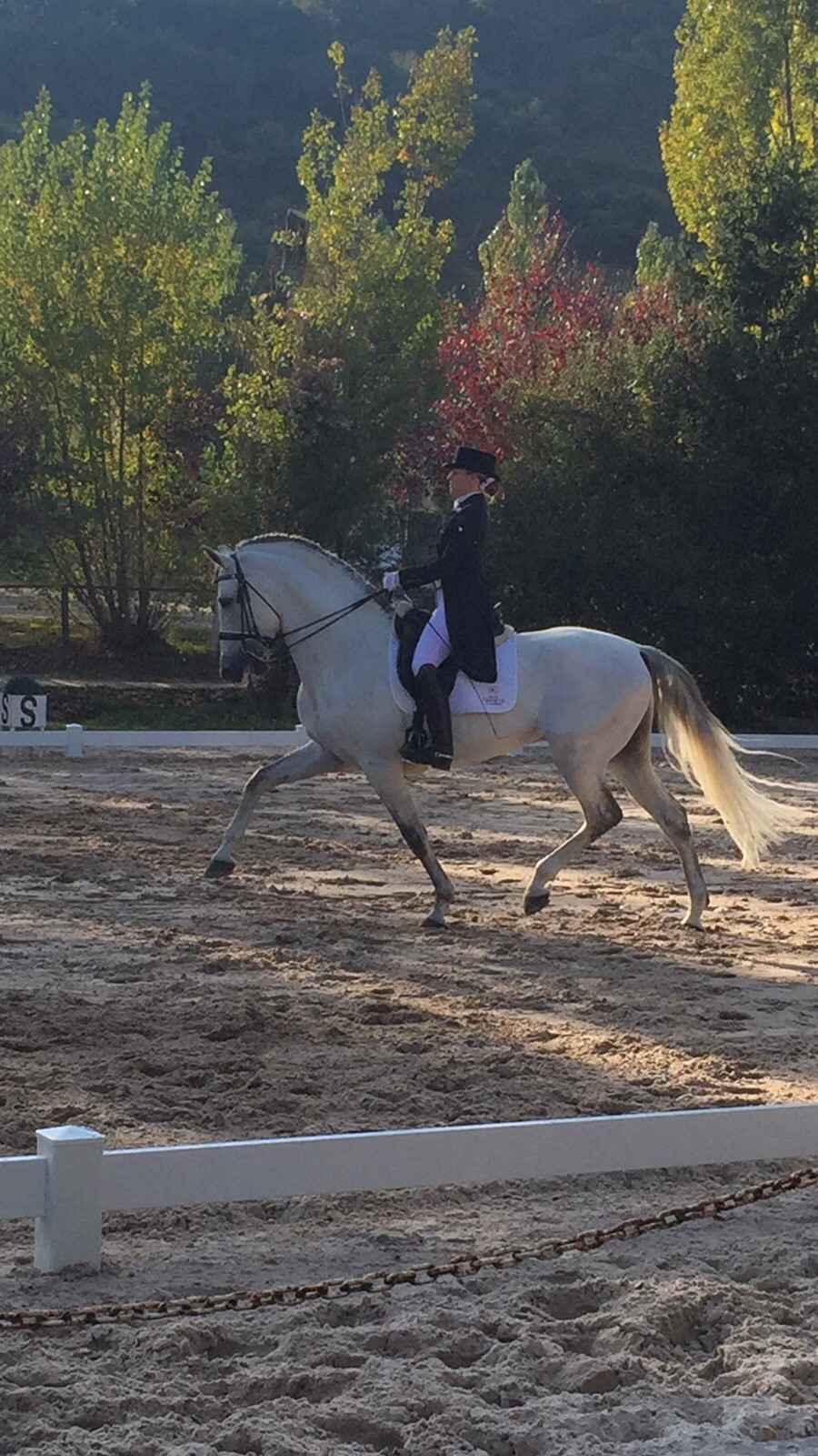 Resultados Finales Campeonato Navarro de Doma Clásica 2015